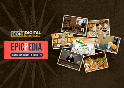 Epicpedia